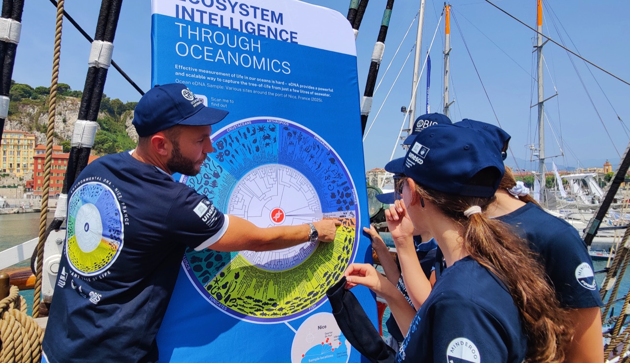 Ward Appeltans examining the ocean tree-of-life poster at the eDNA Expeditions event