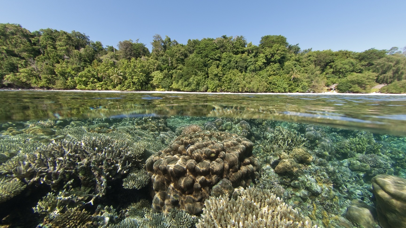 Kepulauan Togean National Park