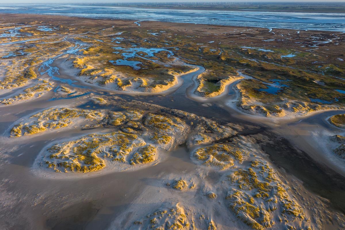 Wadden Sea